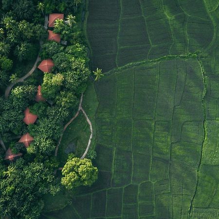 Готель Jetwing Kaduruketha Веллавая Екстер'єр фото