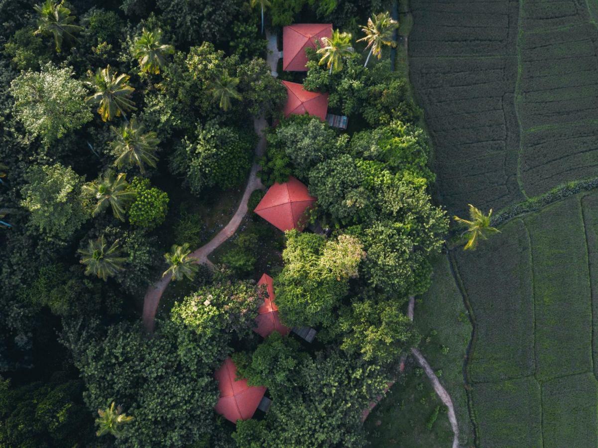 Готель Jetwing Kaduruketha Веллавая Екстер'єр фото